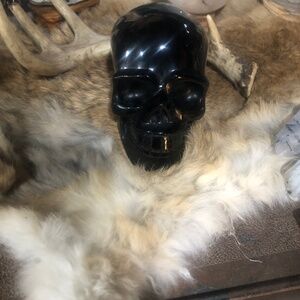 OBSIDIAN  SKULL  2.8 lbs 3 L 4 across